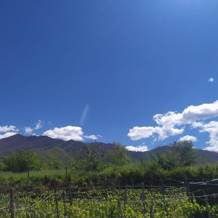 L'Orto Del Vesuvio Di Laura Guidone Bed & Breakfast San Sebastiano al Vesuvio Exterior foto